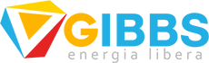 gibbs energia